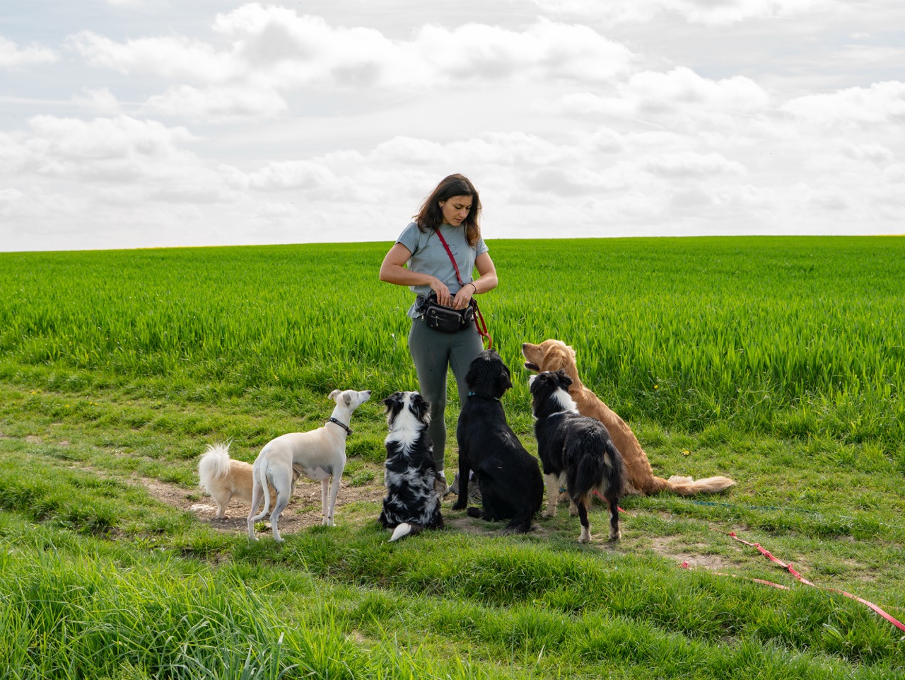 Léna et sa meute de chiens en pleine nature